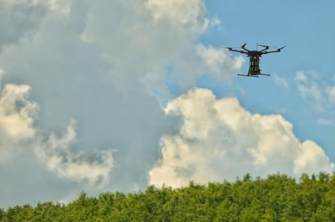 Mbillen 3000 fara të drunjve përmes dronit në Kryeqytet