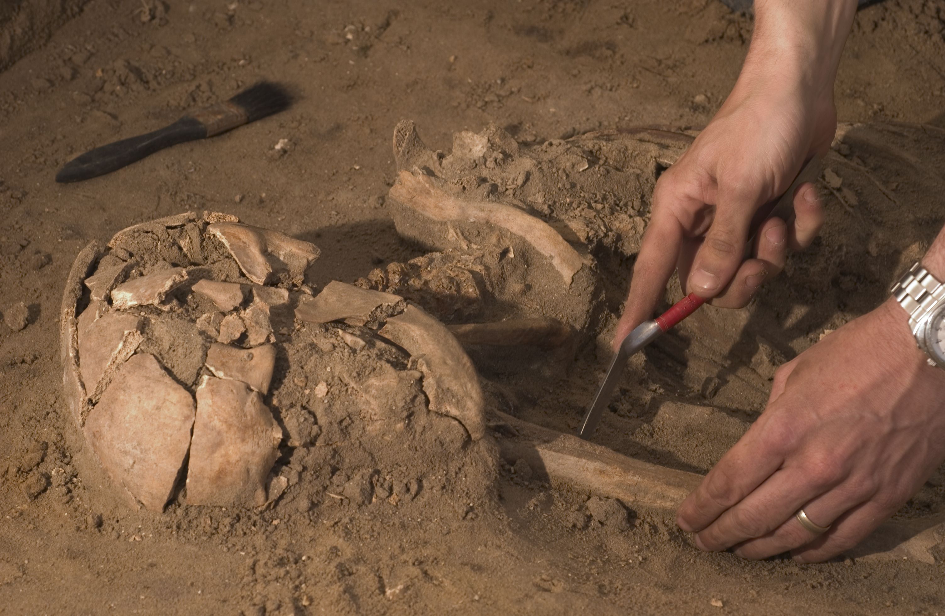 Самый древний по возрасту. Археологические раскопки. Древние археологические раскопки. Невероятные археологические находки.